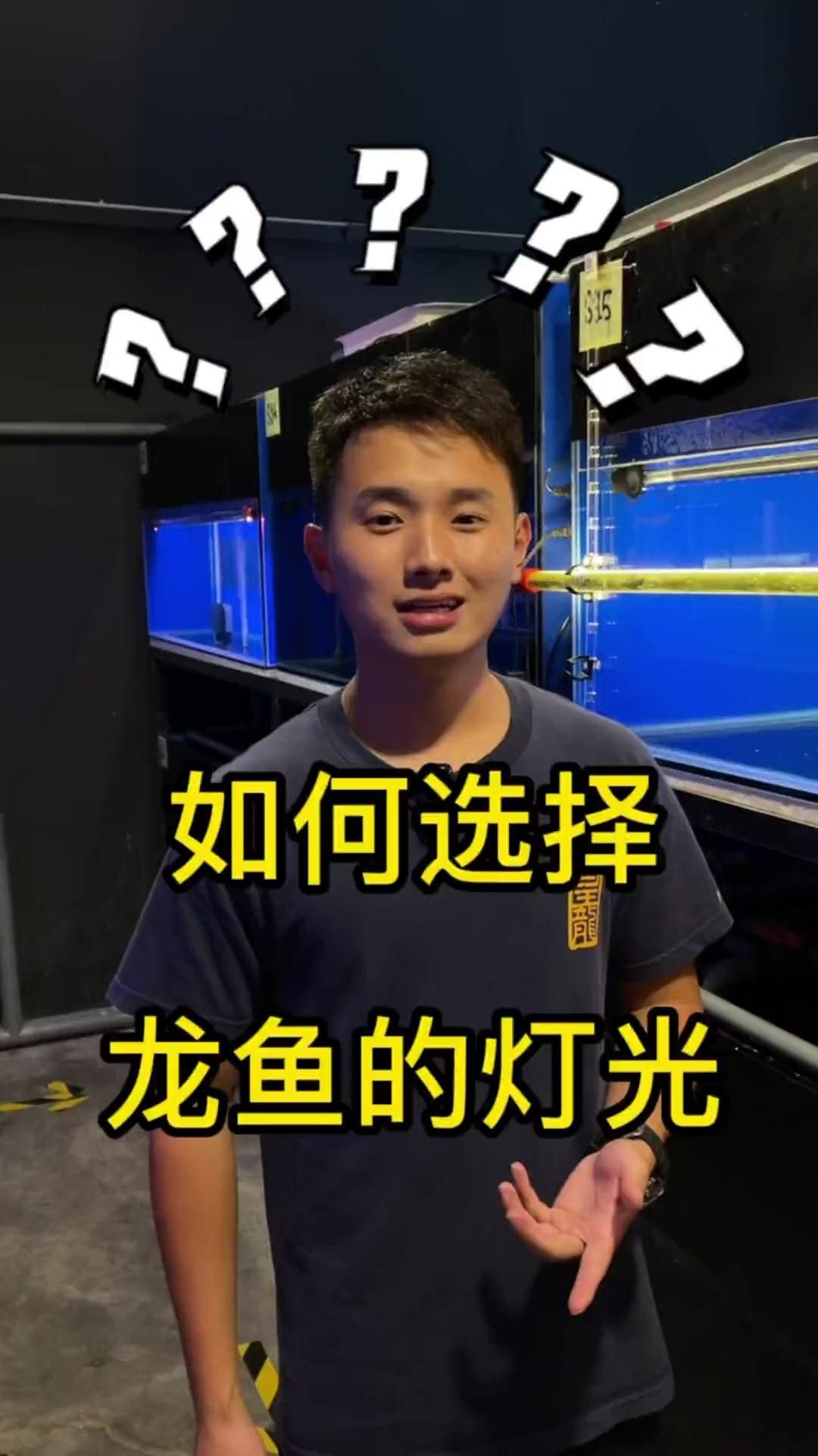 如何選擇適合養(yǎng)龍魚的LED燈？