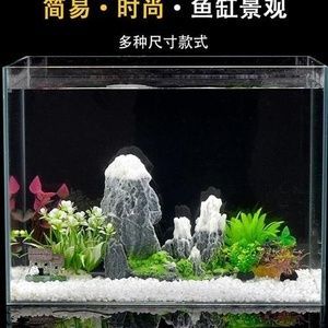 龍魚原產(chǎn)地哪個國家最好釣：在原產(chǎn)地釣龍魚是一種什么體驗？ 龍魚原產(chǎn)地哪個國家最好釣：在原產(chǎn)地釣龍魚是一種什么體驗？ 龍魚百科 第2張