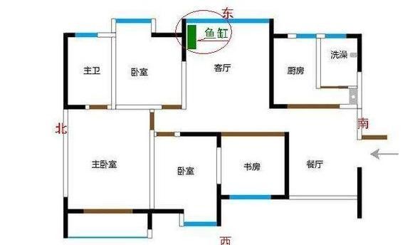 龍魚風水講究圖解