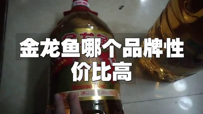 金龍魚最建議買三種油