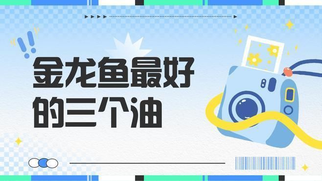 金龍魚最建議買三種油