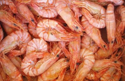 喂龍魚干蝦的好處和壞處有哪些：喂龍魚干蝦的好處和壞處