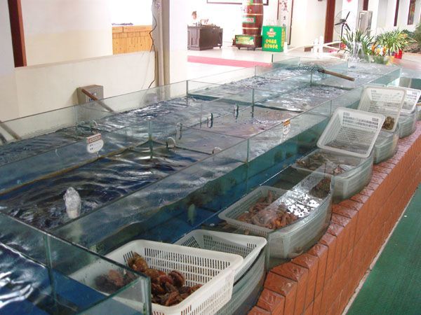 廣州魚缸批發v祥龍魚場（廣州魚缸定做-祥龍魚場）