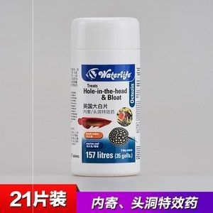 龍魚腸炎的治療藥物（龍魚專用藥治療龍魚腸炎的治療方法及治療方法）