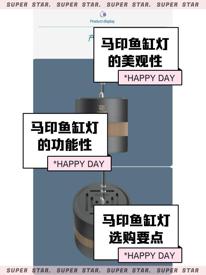 馬印水族魚(yú)缸增艷金龍是雜牌子嗎