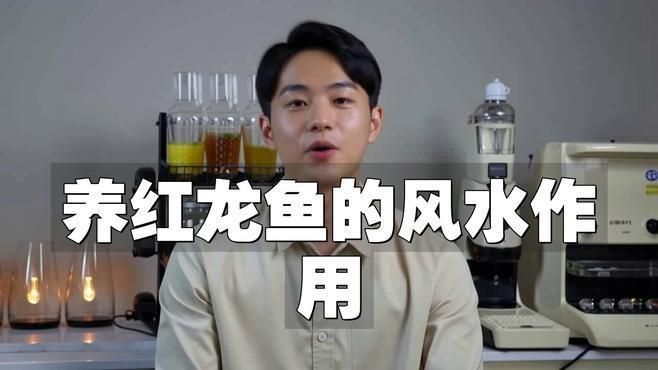 請詳細(xì)說說紅龍魚的招財特性 請詳細(xì)說說紅龍魚的招財特性 龍魚百科 第2張