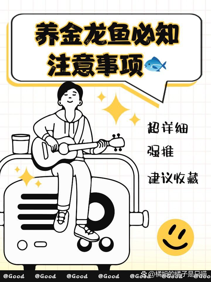 金龍魚缸的最佳溫度是多少？