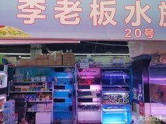 沈陽龍魚批發市場在哪里啊電話