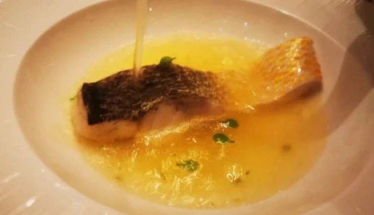 金龍魚是黃花魚嗎