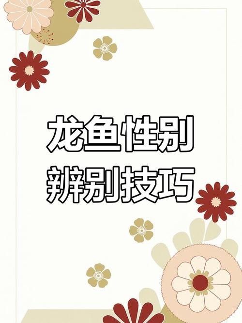 龍魚怎么區分公母圖解