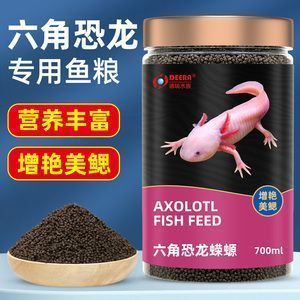 六角龍魚喂魚飼料行嗎：六角龍魚喂養(yǎng)技巧