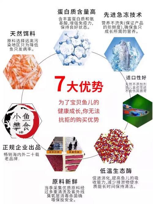 恐龍魚要吃什么飼料好 恐龍魚要吃什么飼料好 龍魚百科 第5張