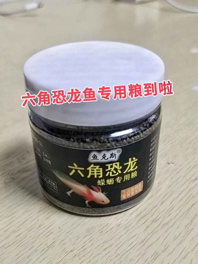 恐龍魚要吃什么飼料好 恐龍魚要吃什么飼料好 龍魚百科 第7張