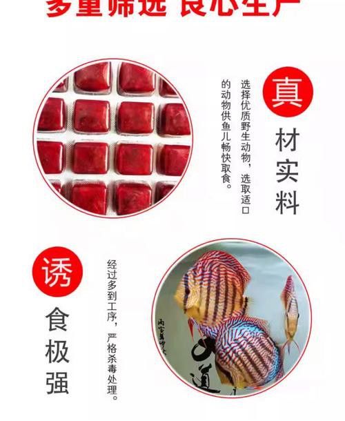 恐龍魚要吃什么飼料好 恐龍魚要吃什么飼料好 龍魚百科 第9張