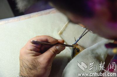 龍魚去眼手術能吃嗎有毒嗎：龍魚去眼手術后的飲食管理