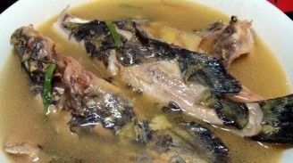龍魚怎么發(fā)色才好看：如何幫助龍魚發(fā)色 龍魚怎么發(fā)色才好看：如何幫助龍魚發(fā)色 龍魚百科