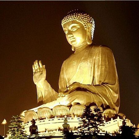 龍族是道家還是佛家 龍魚百科 第2張 龍族是道家還是佛家 龍族是道家還是佛家 龍魚百科 第2張