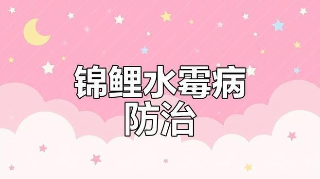 如何預防銀龍魚的白絮病？ 如何預防銀龍魚的白絮病？ 龍魚百科 第11張