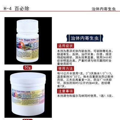 龍魚長寄生蟲用什么藥好使：龍魚腸蟲清是治療龍魚體內(nèi)寄生蟲的常用藥物治療方法