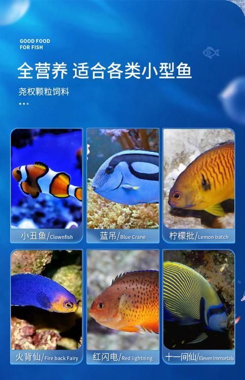 賽級(jí)藍(lán)底最簡單三個(gè)魚