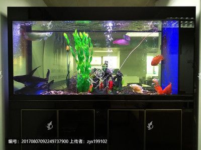 龍魚閣魚缸廠家地址：龍魚閣魚缸廠家地址探討龍魚閣魚缸廠家的詳細地址