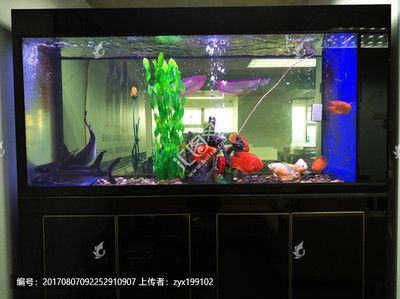 龍魚閣魚缸廠家地址：龍魚閣魚缸廠家地址探討龍魚閣魚缸廠家的詳細地址