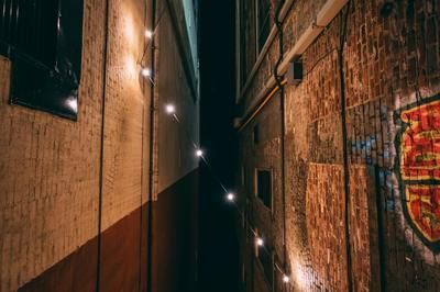 龍魚為什么要烤燈（龍魚烤燈對于人工飼養的龍魚來說是非常重要的） 龍魚為什么要烤燈（龍魚烤燈對于人工飼養的龍魚來說是非常重要的） 龍魚百科 第1張