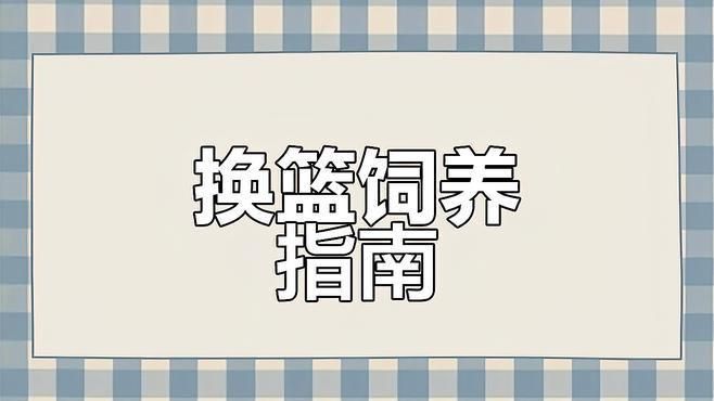 藍(lán)寶石魚