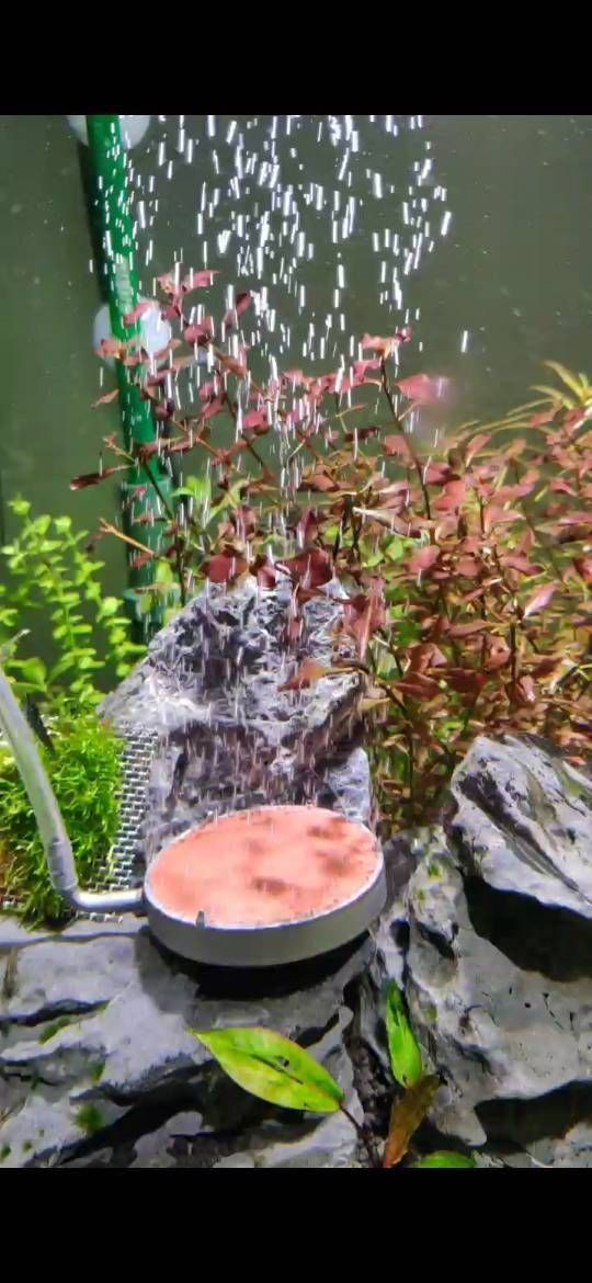 老漁匠氧氣泵是雜牌子嗎知乎 老漁匠氧氣泵是雜牌子嗎知乎 龍魚百科 第2張