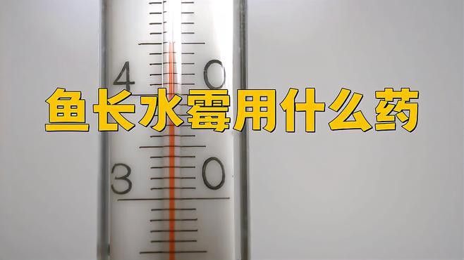 有哪些品牌治療水霉病的藥物