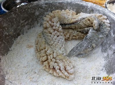 飛龍魚的照片：關于飛龍魚照片的不同類型及其來源網站進行查找和下載 飛龍魚的照片：關于飛龍魚照片的不同類型及其來源網站進行查找和下載 龍魚百科 第2張