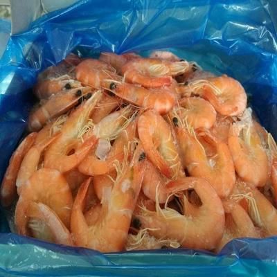 龍魚能喂熟蝦嗎:龍魚能喂熟蝦嗎龍魚能喂熟蝦嗎,龍魚能喂熟蝦嗎 龍魚百科 第2張 龍魚能喂熟蝦嗎:龍魚能喂熟蝦嗎龍魚能喂熟蝦嗎,龍魚能喂熟蝦嗎 龍魚能喂熟蝦嗎:龍魚能喂熟蝦嗎龍魚能喂熟蝦嗎,龍魚能喂熟蝦嗎 龍魚百科 第2張