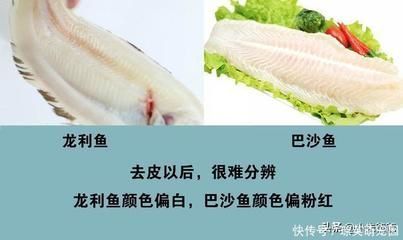 巴沙魚與龍利魚區(qū)別：如何辨別巴沙魚和龍利魚