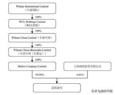 金龍魚大股東是日本人嗎（金龍魚的大股東是日本人嗎？）