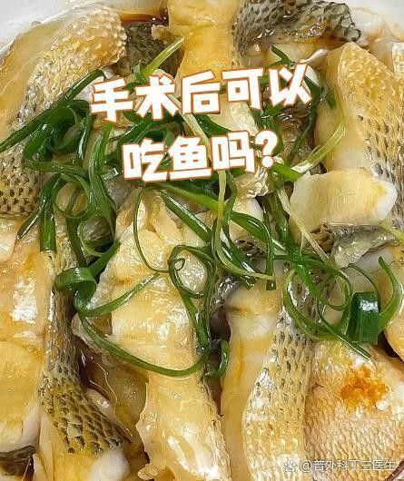 龍魚怎么做手術吃的
