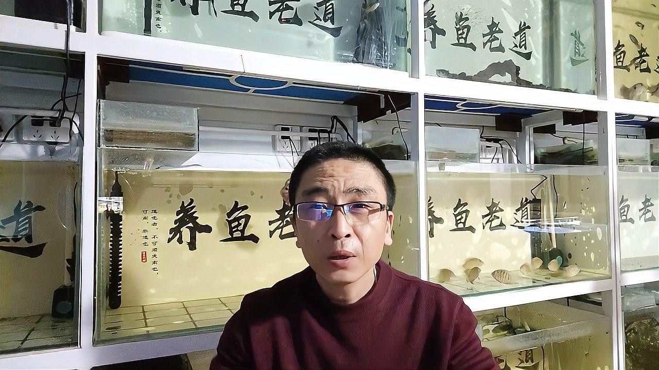 如何保持銀龍魚缸的水質穩定？