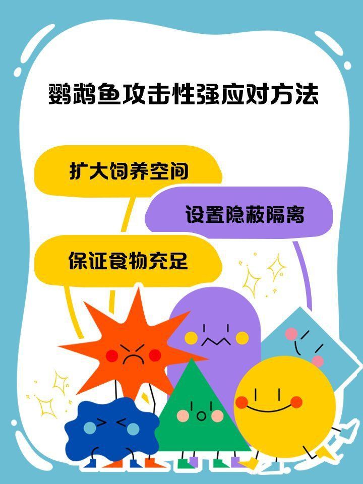 金剛鸚鵡魚太兇了,咬死其他魚