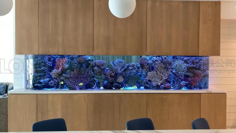 西安魚缸祥龍魚場魚缸 西安魚缸祥龍魚場魚缸 龍魚百科 第8張