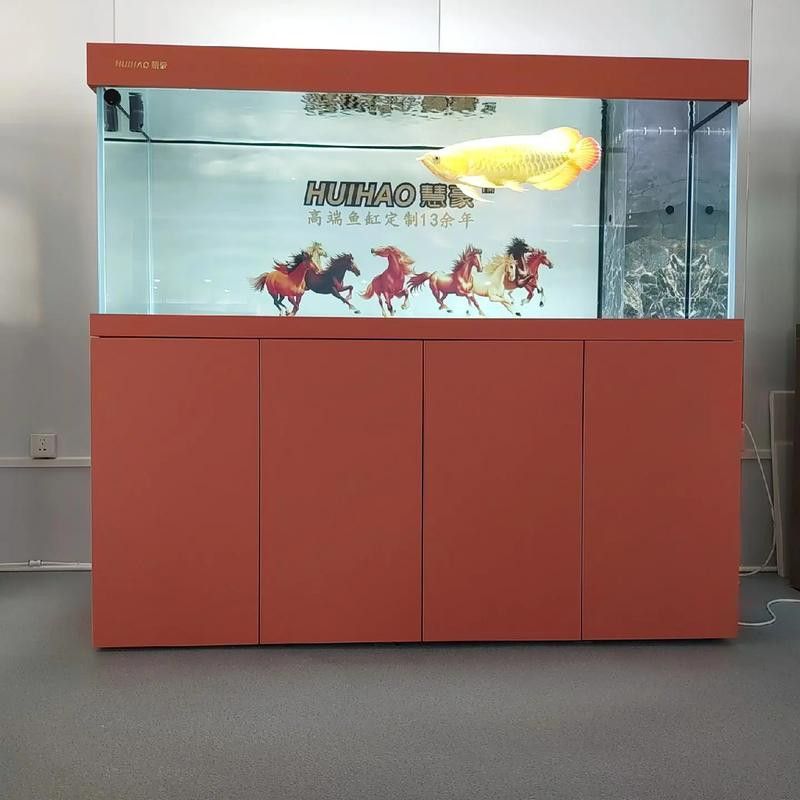 西安魚缸祥龍魚場魚缸 西安魚缸祥龍魚場魚缸 龍魚百科 第5張