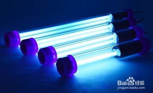 龍魚缸需要殺菌燈嗎：龍魚缸是否需要安裝殺菌燈