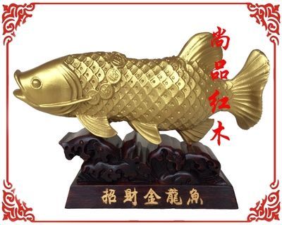 風水金龍魚：金龍魚在風水學中有著多種作用