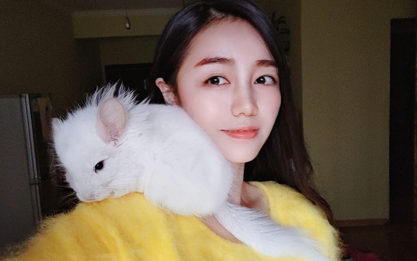 龍貓可以合籠養嗎