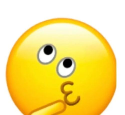 龍貓可以合籠養嗎