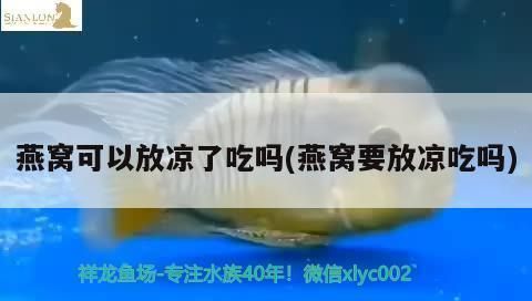 紅龍魚燈光怎么擺放好看（為了使紅龍魚魚缸看起來更加美觀，通過這些技巧） 紅龍魚燈光怎么擺放好看（為了使紅龍魚魚缸看起來更加美觀，通過這些技巧） 龍魚百科 第4張