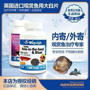 龍魚(yú)怎么預(yù)防內(nèi)寄蟲(chóng)病發(fā)病呢 龍魚(yú)怎么預(yù)防內(nèi)寄蟲(chóng)病發(fā)病呢 龍魚(yú)百科 第3張