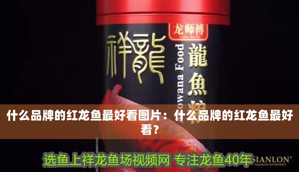 什么品牌的紅龍魚最好看圖片：什么品牌的紅龍魚最好看？