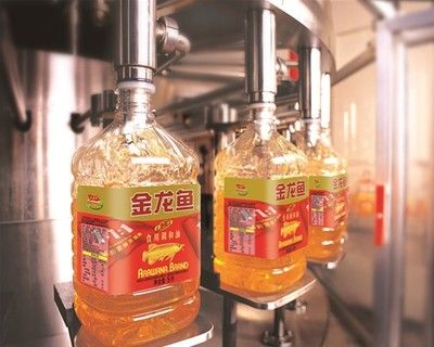 中國金龍魚第一名