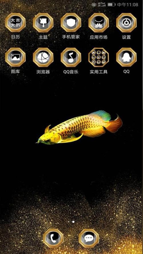 黑色金龍魚價格和圖片大全 黑色金龍魚價格和圖片大全 龍魚百科 第12張