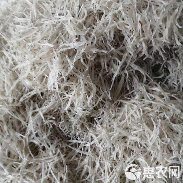 瀾滄江龍魚價格行情