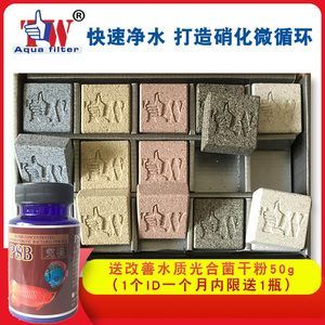 龍魚用什么濾材好：養殖龍魚時